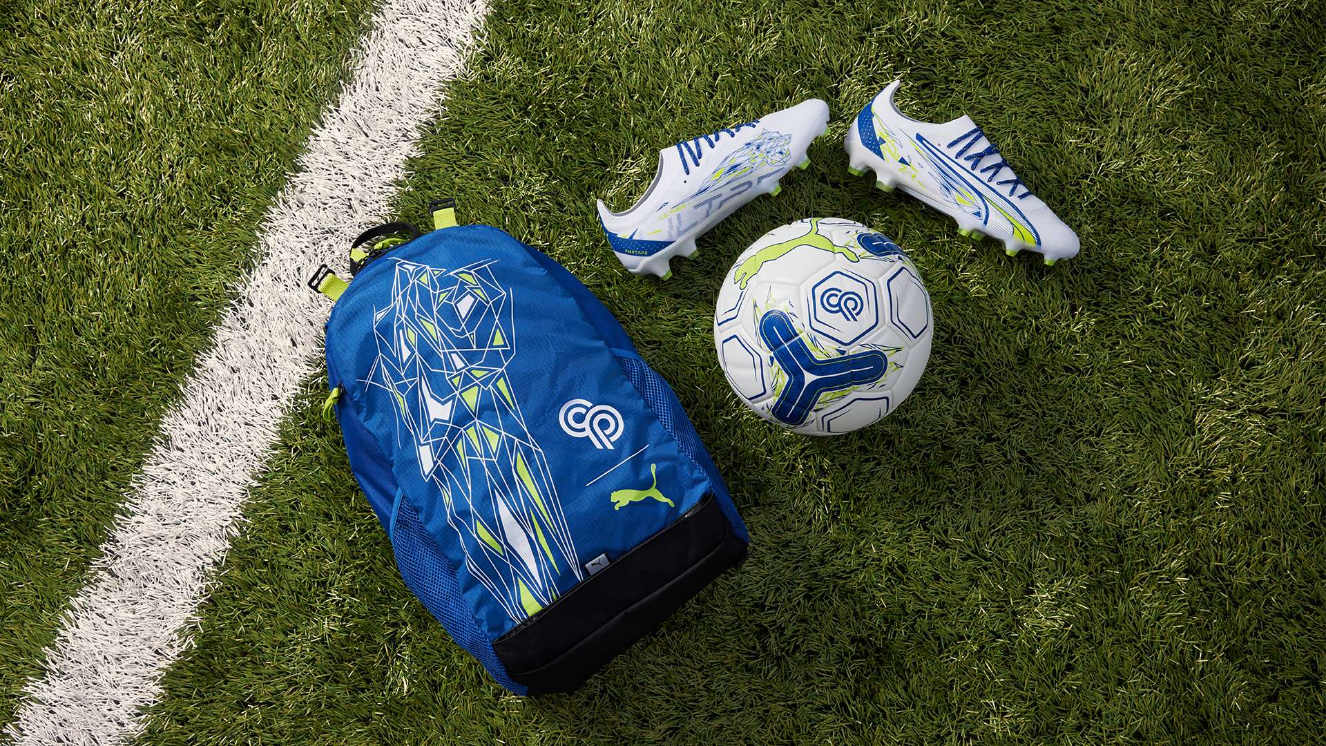 这种经验的 这种经验的